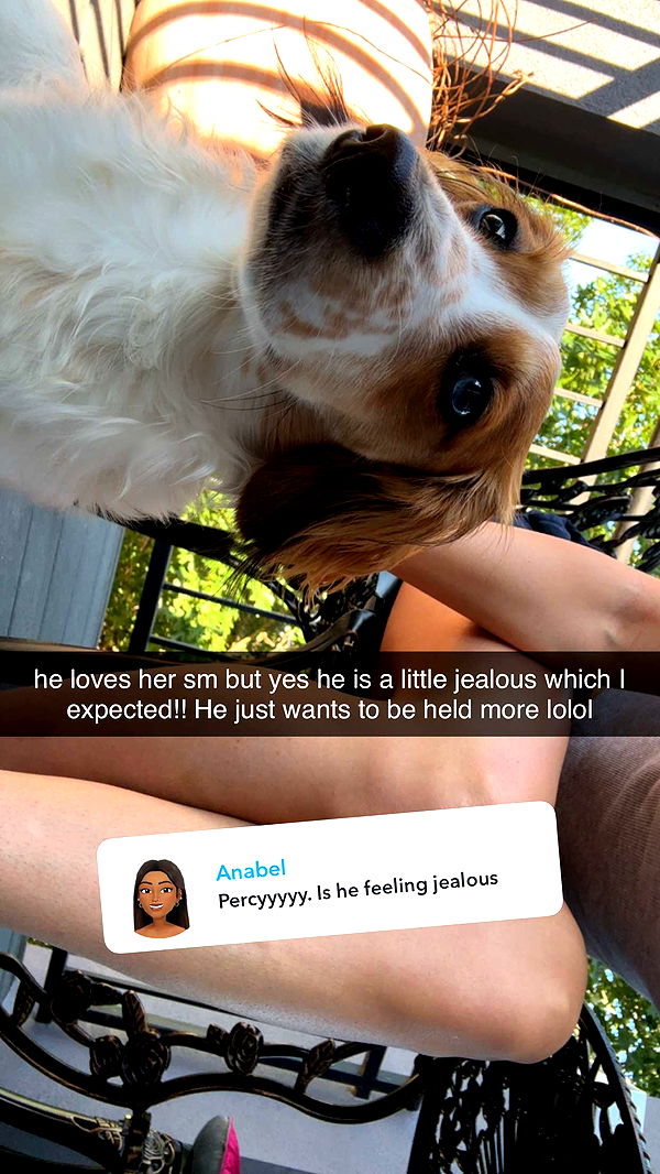 laurenj.fit image ~ Altpins