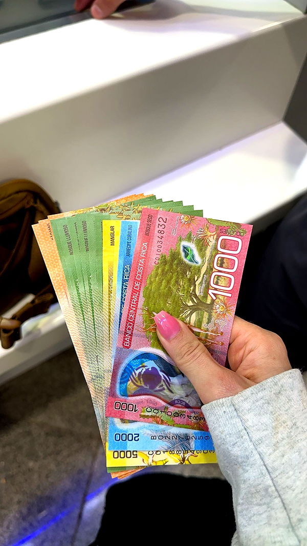 laurenj.fit image ~ Altpins