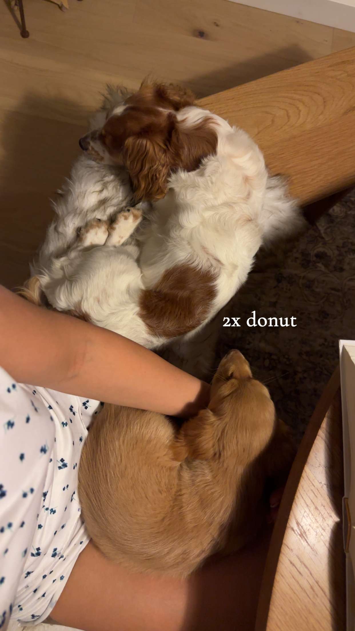 laurenj.fit snapchat image archive image