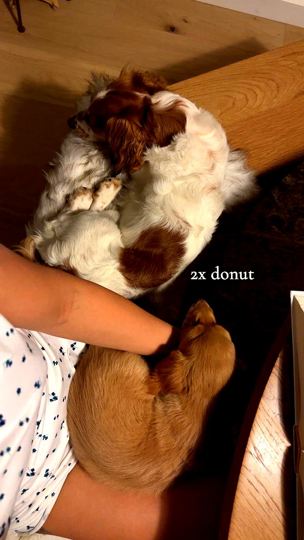 laurenj.fit image ~ Altpins