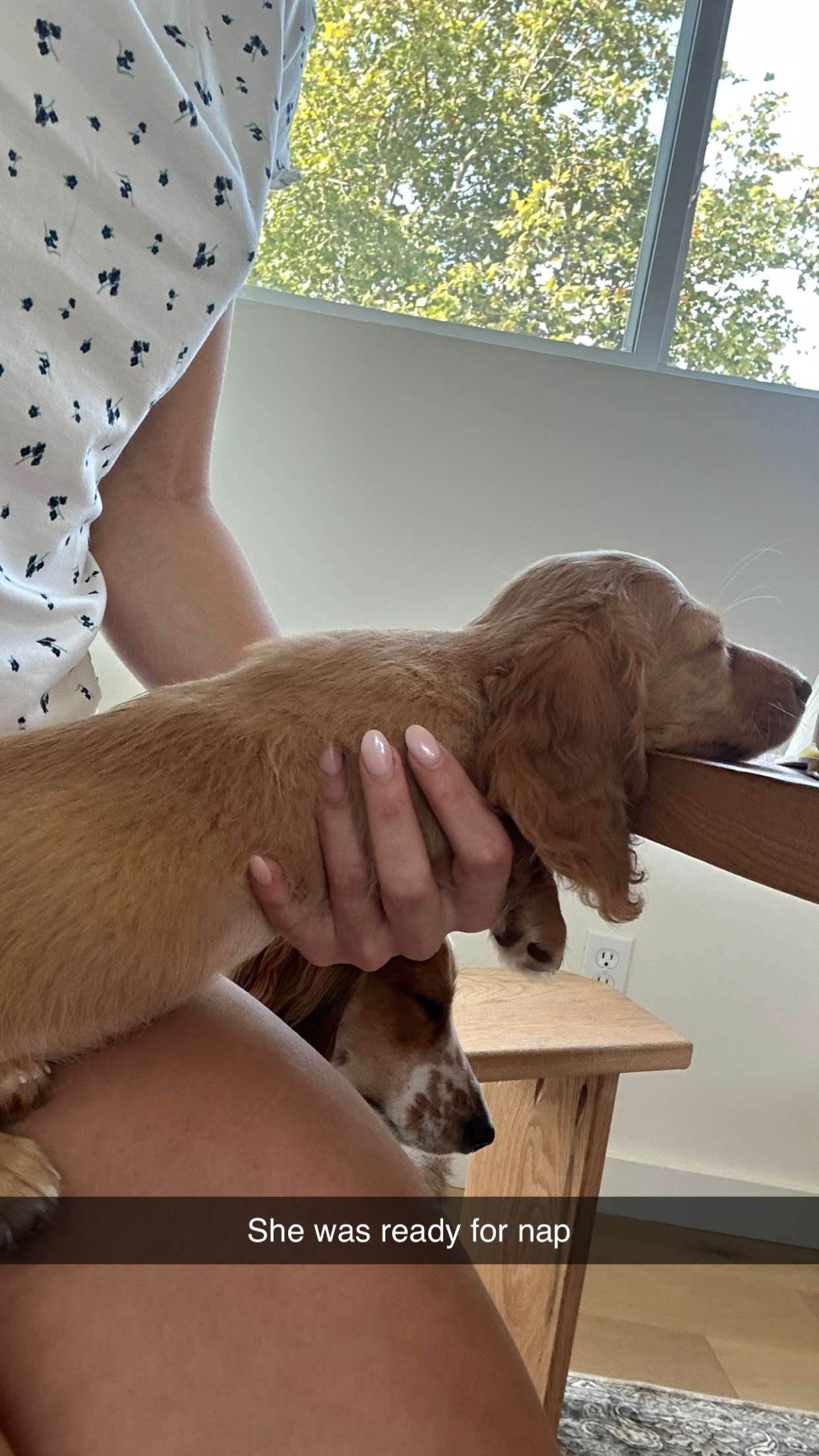 laurenj.fit snapchat image archive image