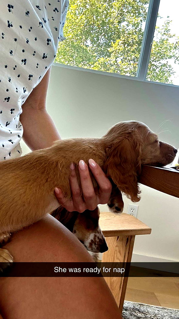 laurenj.fit image ~ Altpins