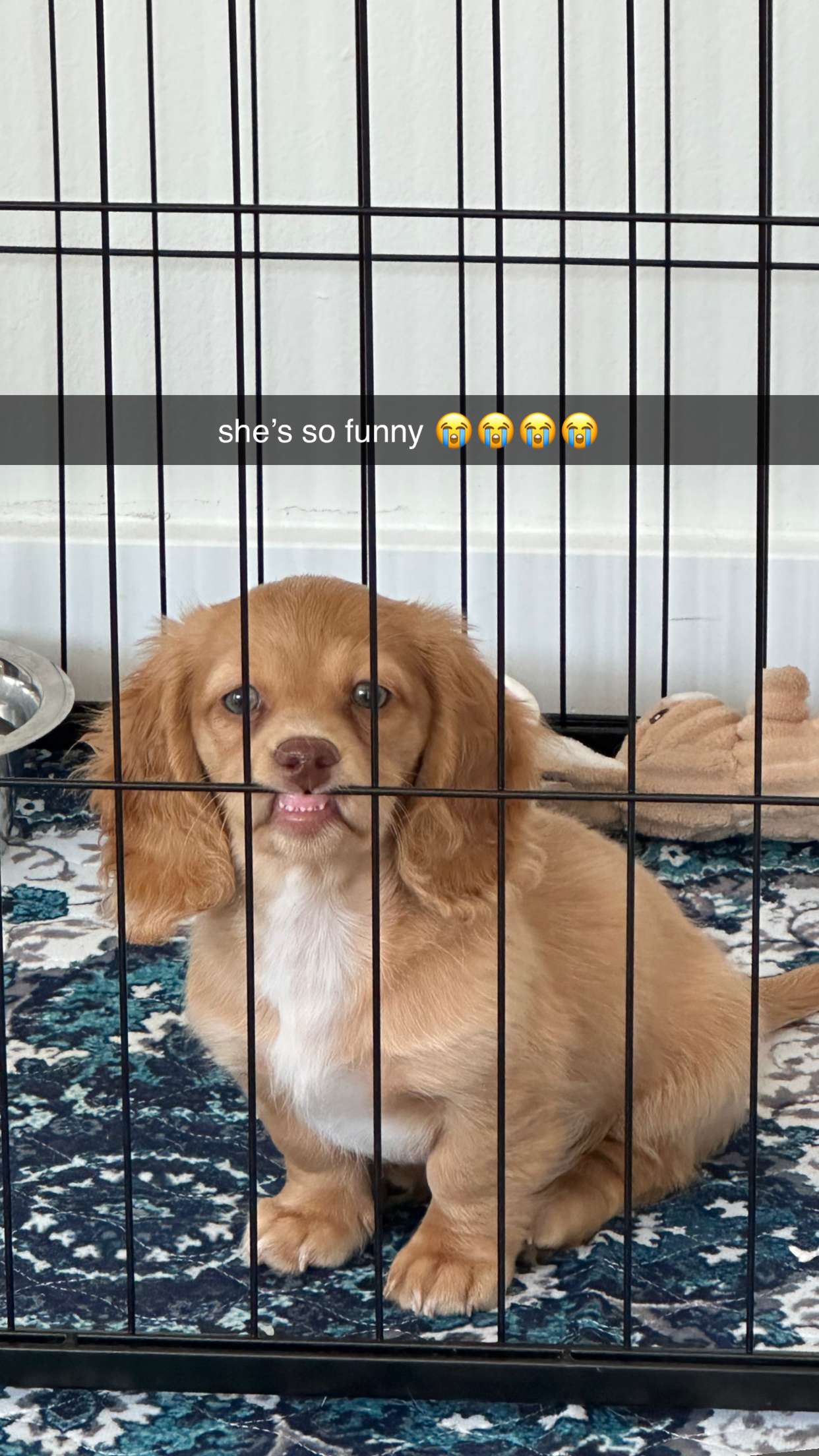 laurenj.fit snapchat image archive image