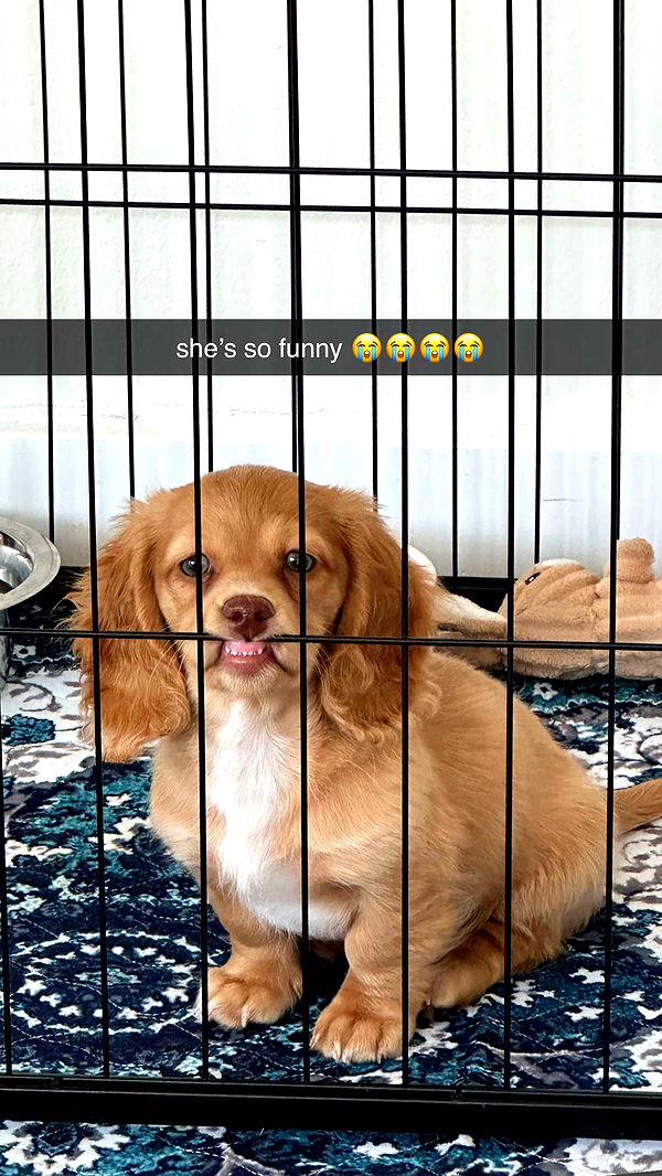 laurenj.fit image ~ Altpins