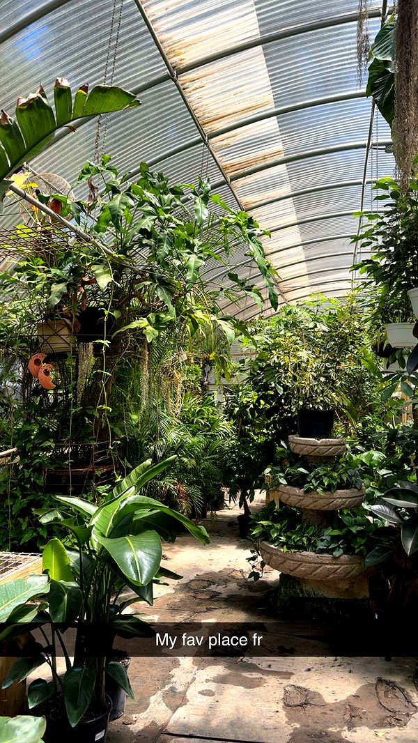 laurenj.fit image ~ Altpins