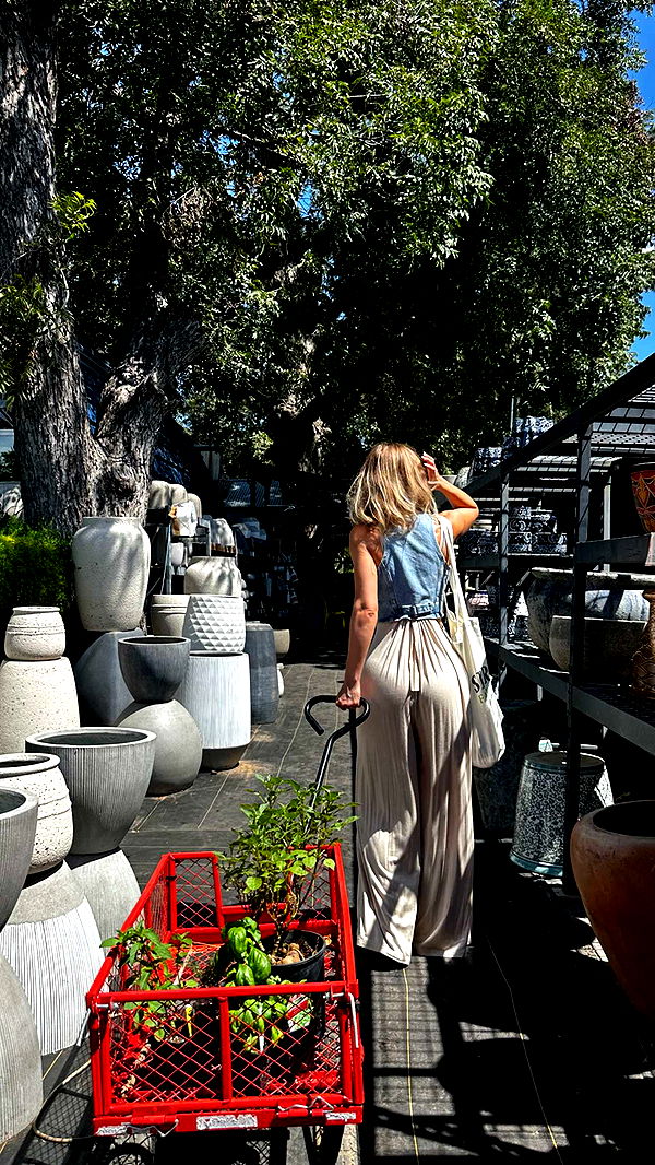 laurenj.fit image ~ Altpins