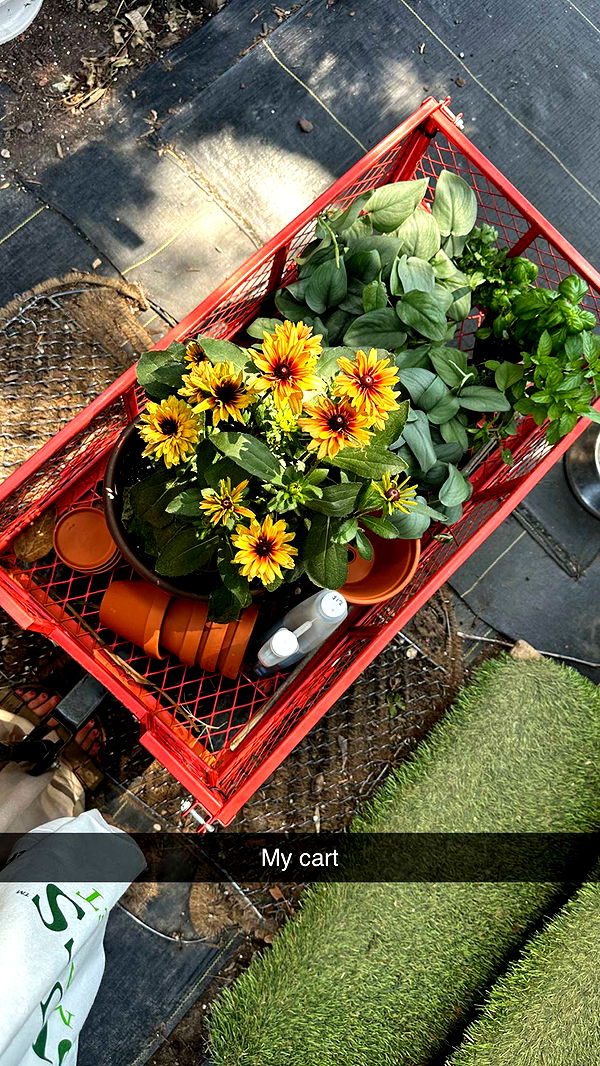 laurenj.fit image ~ Altpins