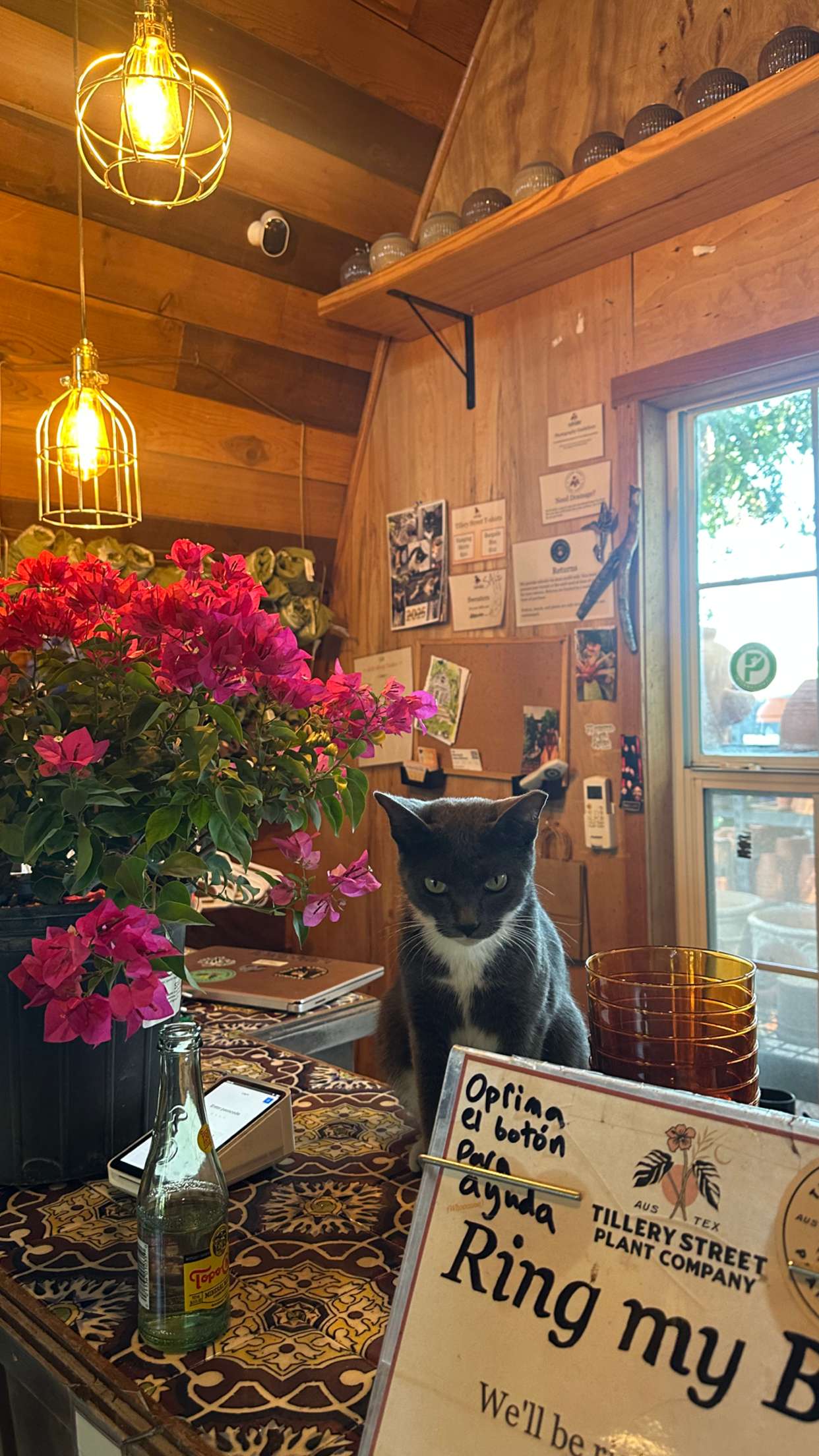 laurenj.fit snapchat image archive image