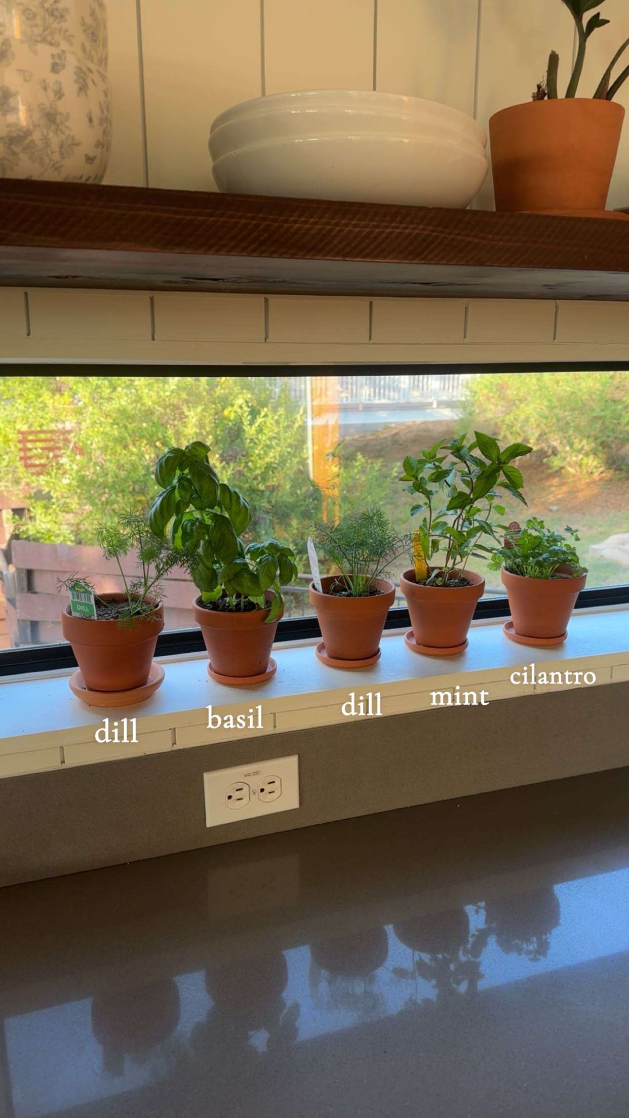 laurenj.fit snapchat image archive image