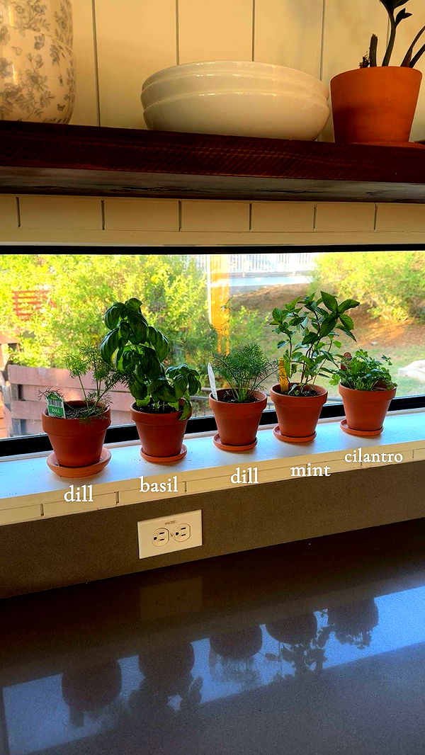 laurenj.fit image ~ Altpins