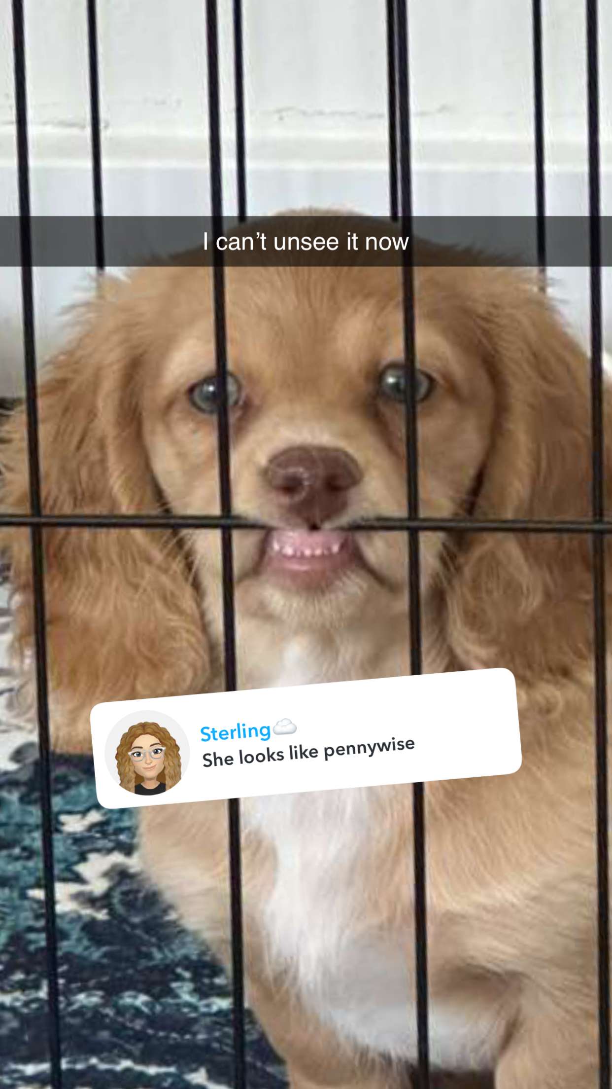 laurenj.fit snapchat image archive image