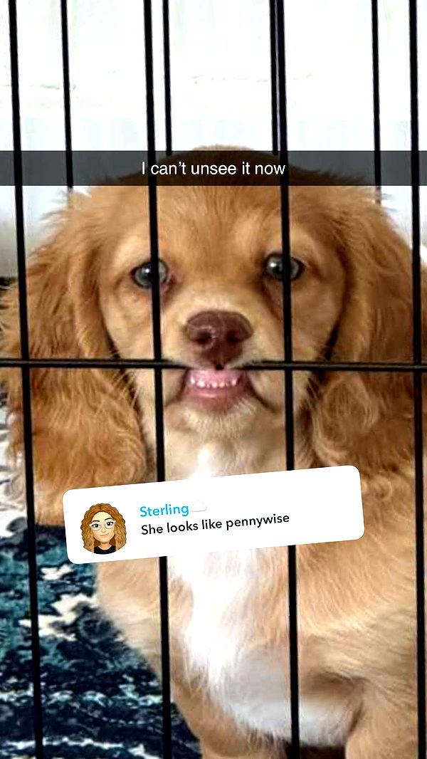 laurenj.fit image ~ Altpins