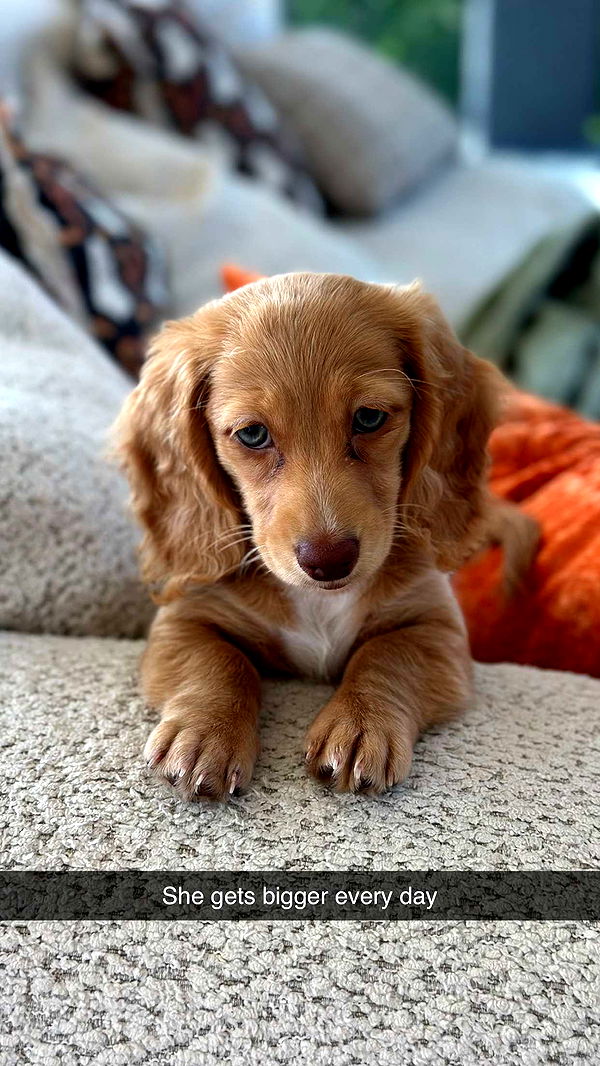 laurenj.fit image ~ Altpins