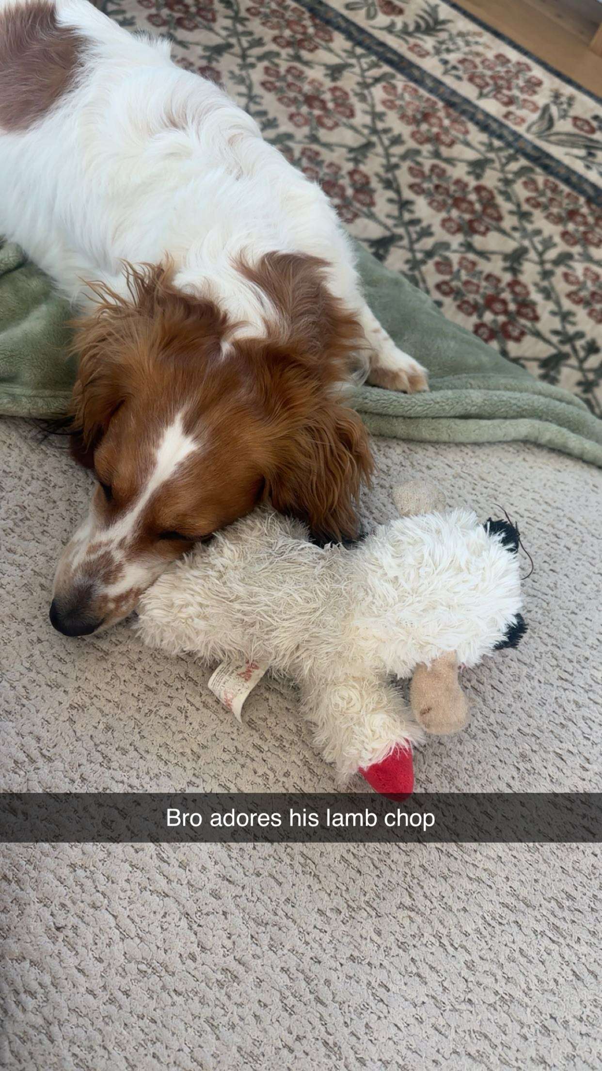 laurenj.fit snapchat image archive image