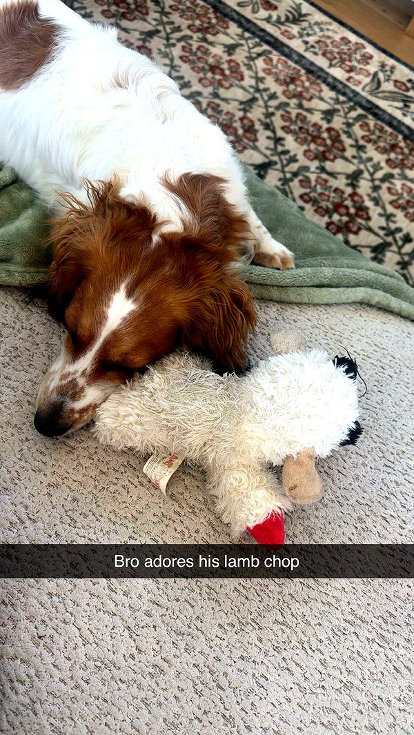 laurenj.fit image ~ Altpins