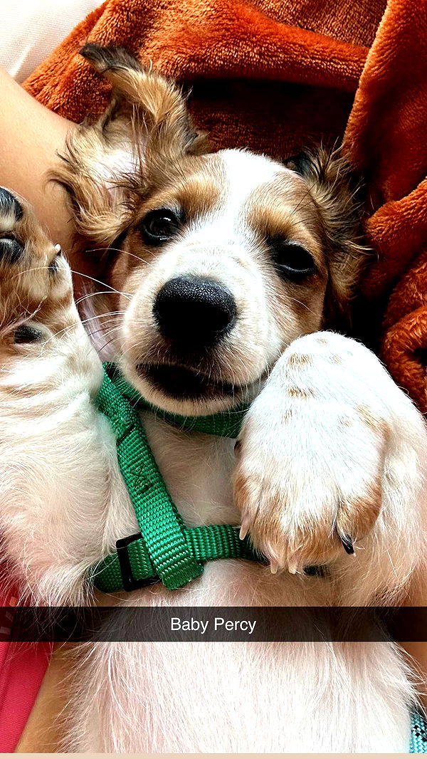 laurenj.fit image ~ Altpins