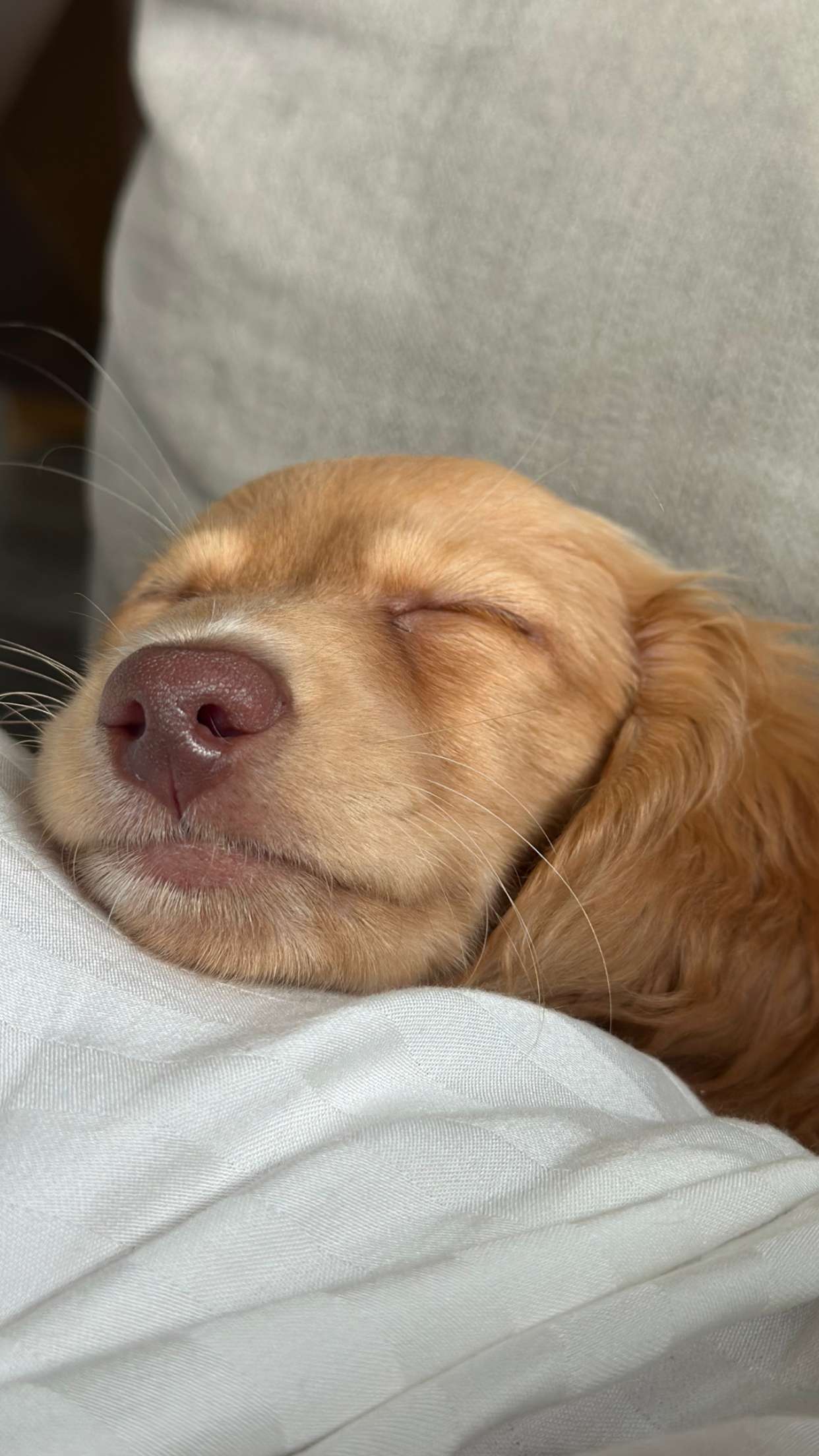 laurenj.fit snapchat image archive image