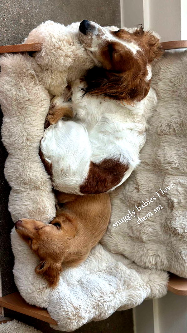 laurenj.fit image ~ Altpins