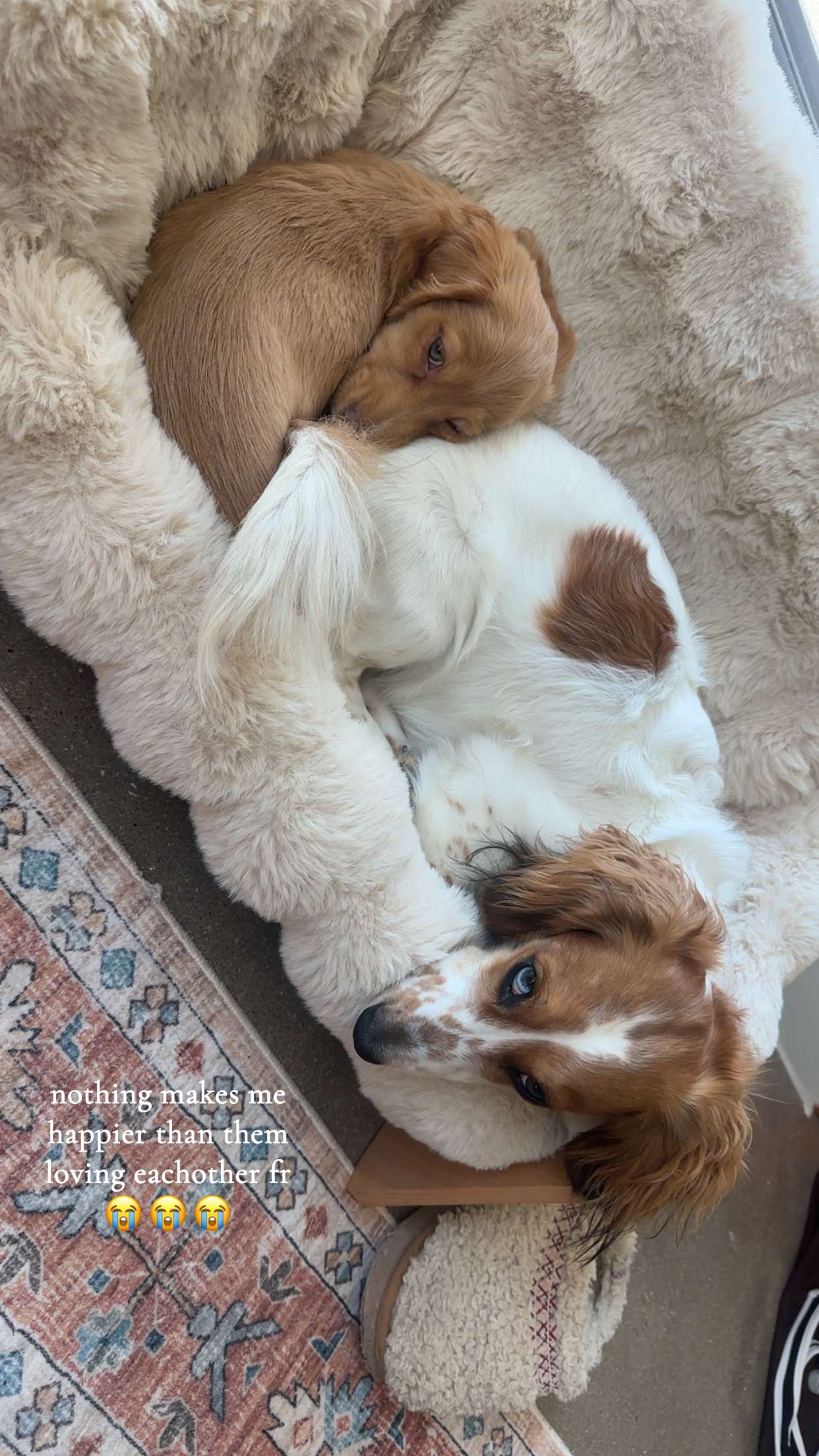 laurenj.fit snapchat image archive image