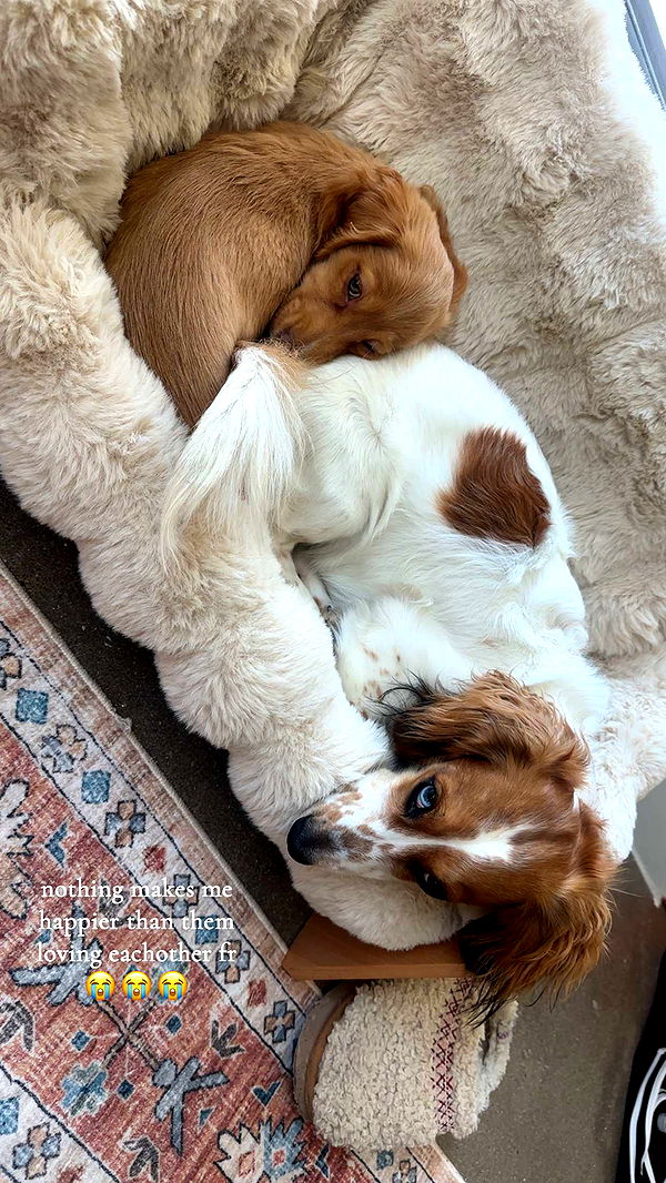 laurenj.fit image ~ Altpins