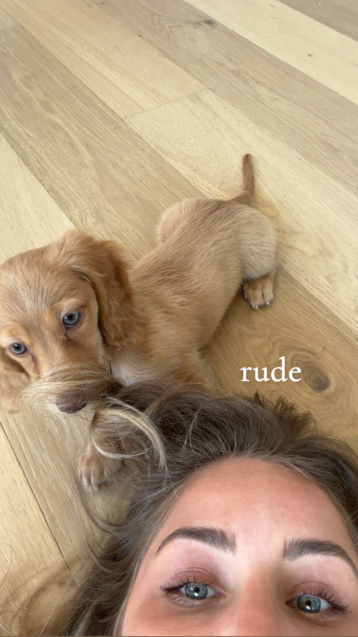 laurenj.fit snapchat image archive image