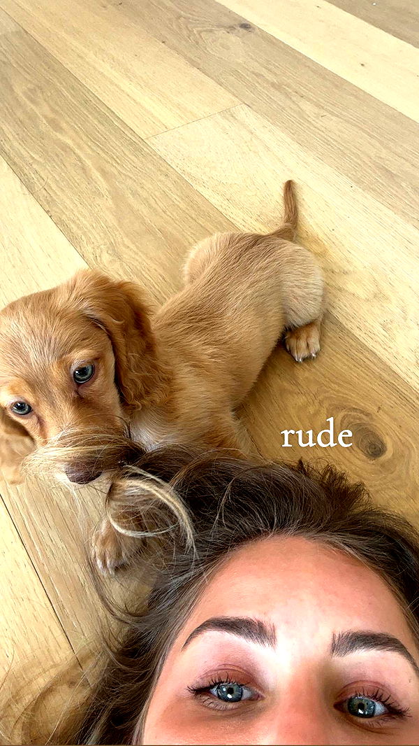 laurenj.fit image ~ Altpins