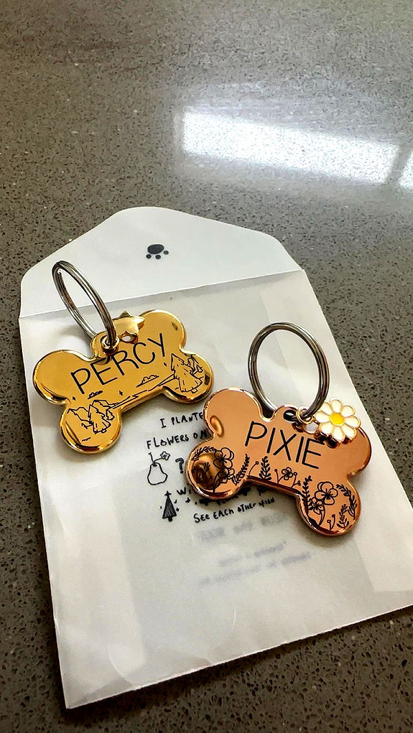 laurenj.fit image ~ Altpins