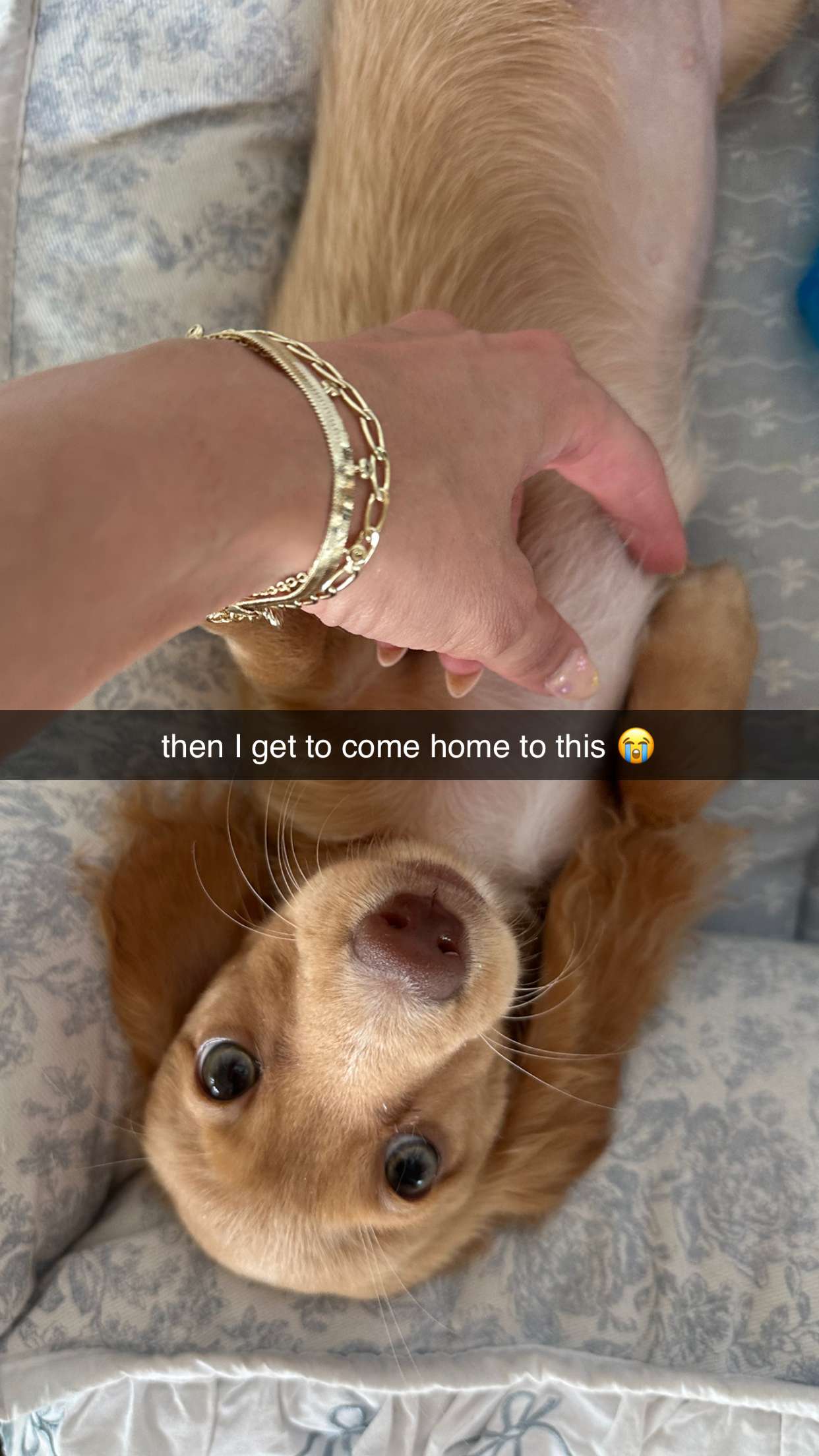 laurenj.fit snapchat image archive image