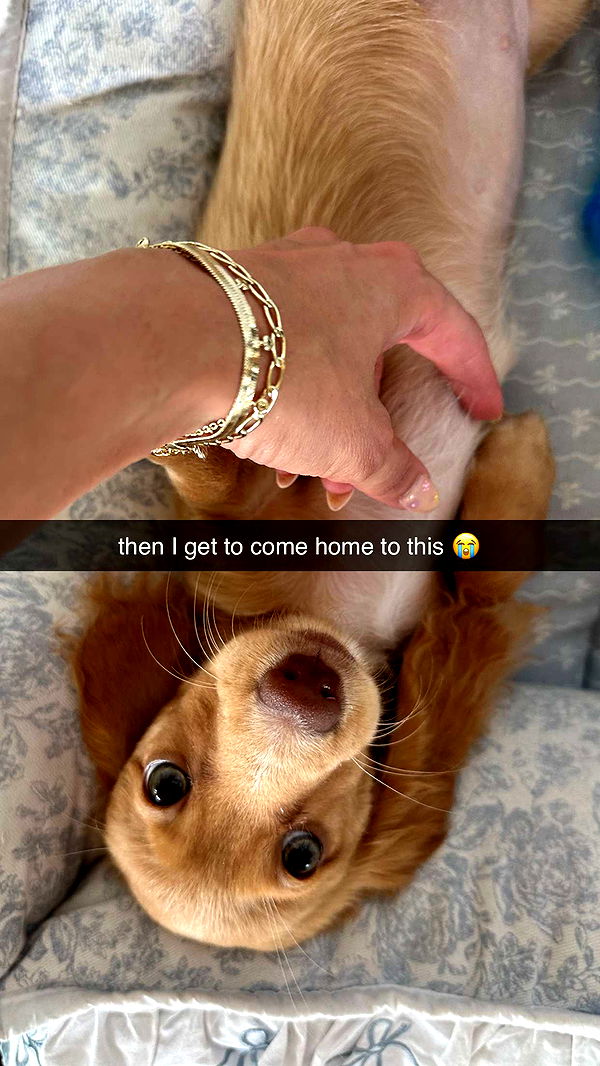 laurenj.fit image ~ Altpins