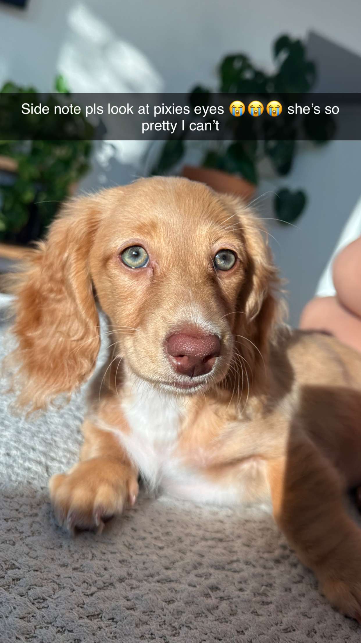 laurenj.fit snapchat image archive image