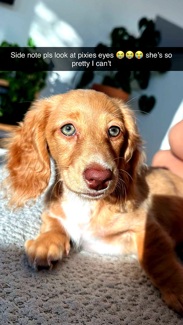 laurenj.fit image ~ Altpins