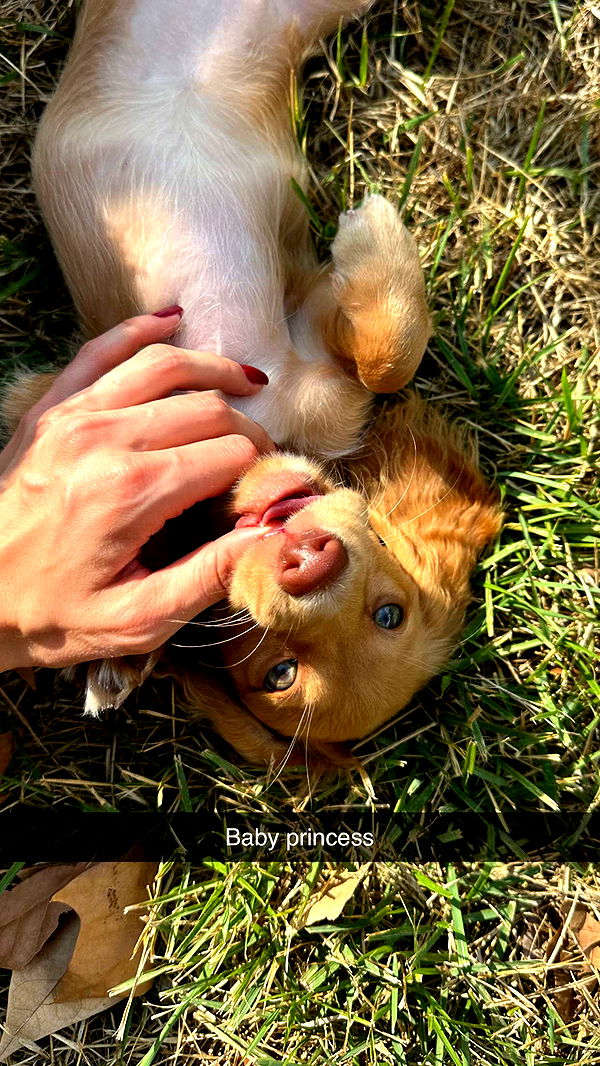 laurenj.fit image ~ Altpins