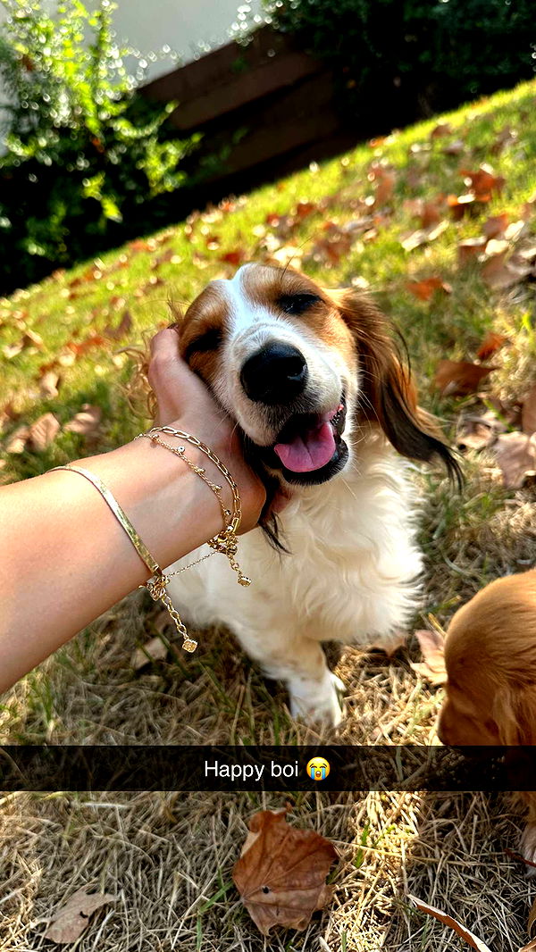 laurenj.fit image ~ Altpins