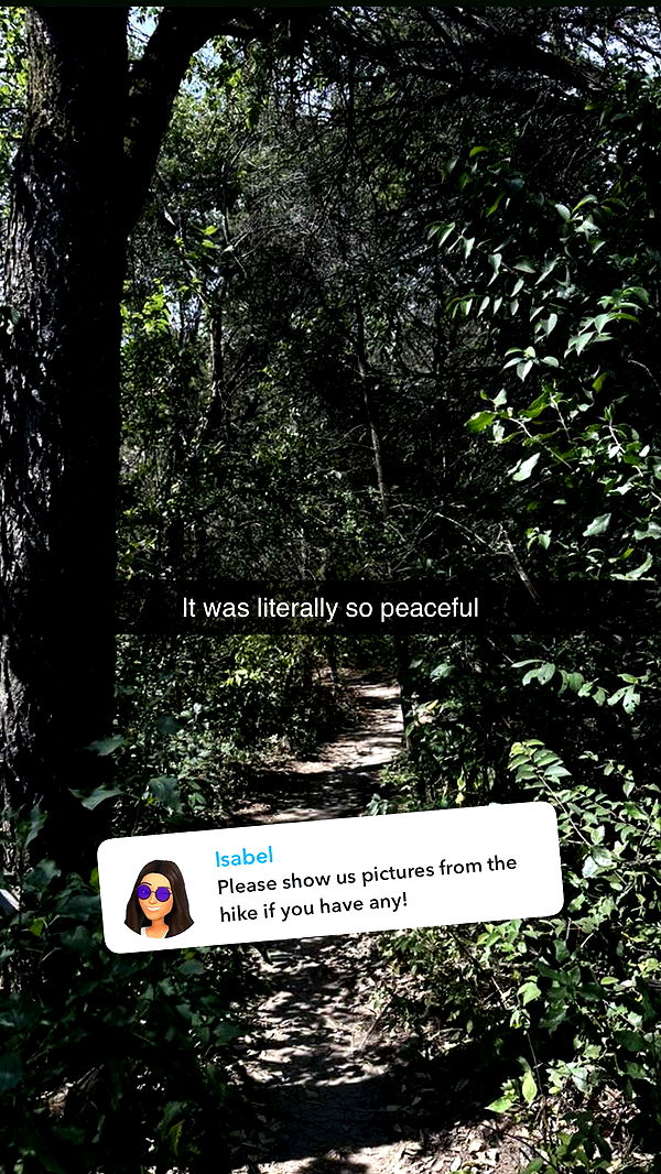 laurenj.fit image ~ Altpins