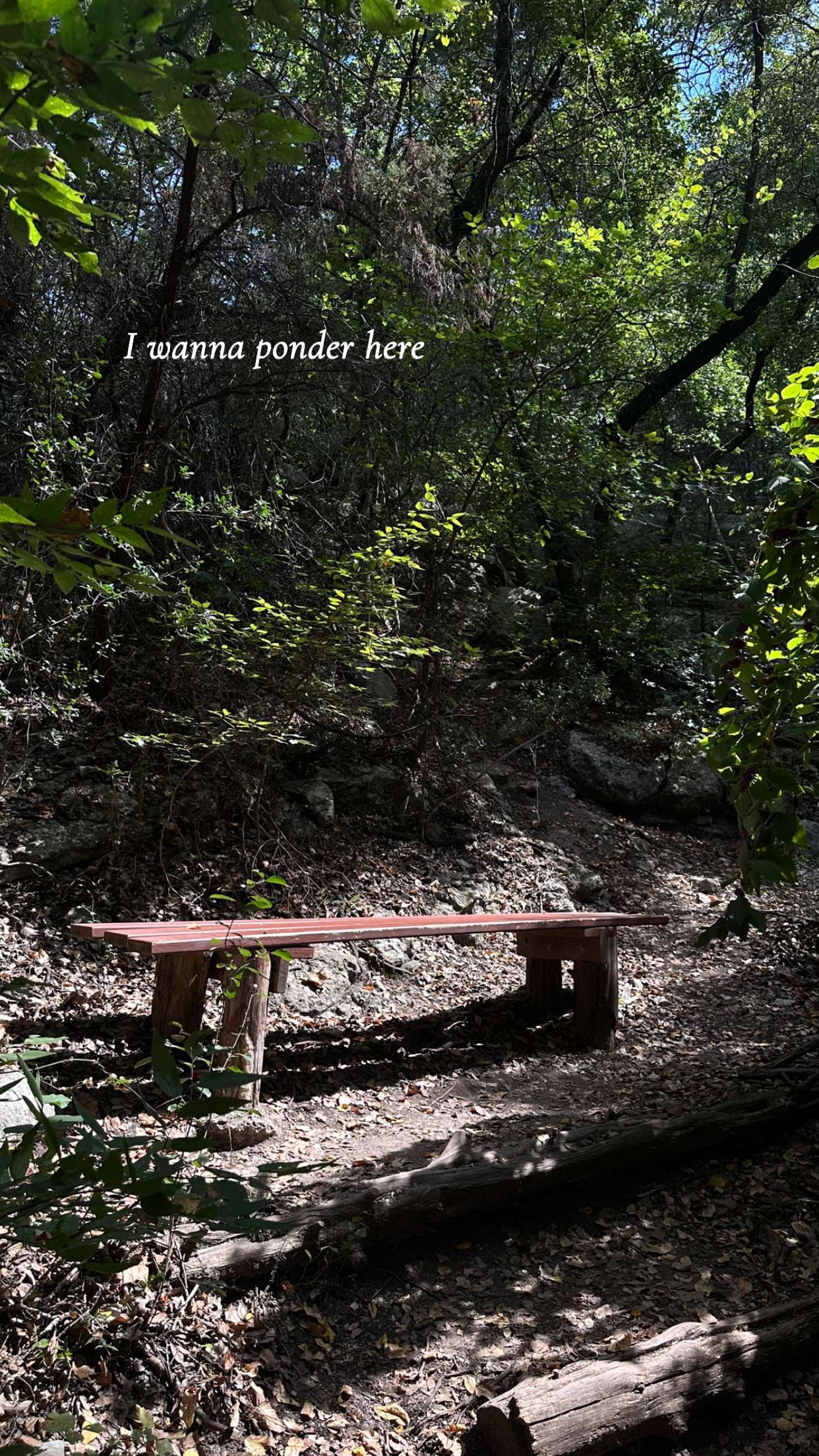 laurenj.fit snapchat image archive image