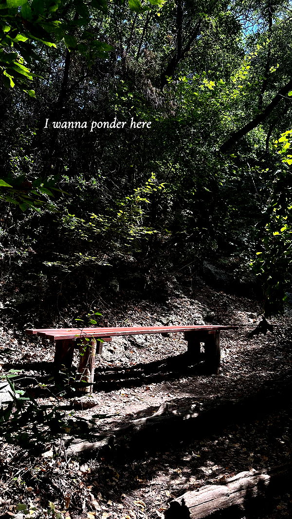 laurenj.fit image ~ Altpins