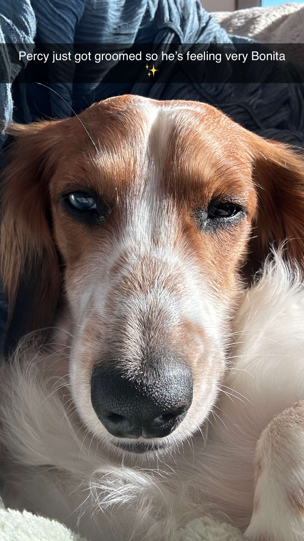 laurenj.fit snapchat image archive image