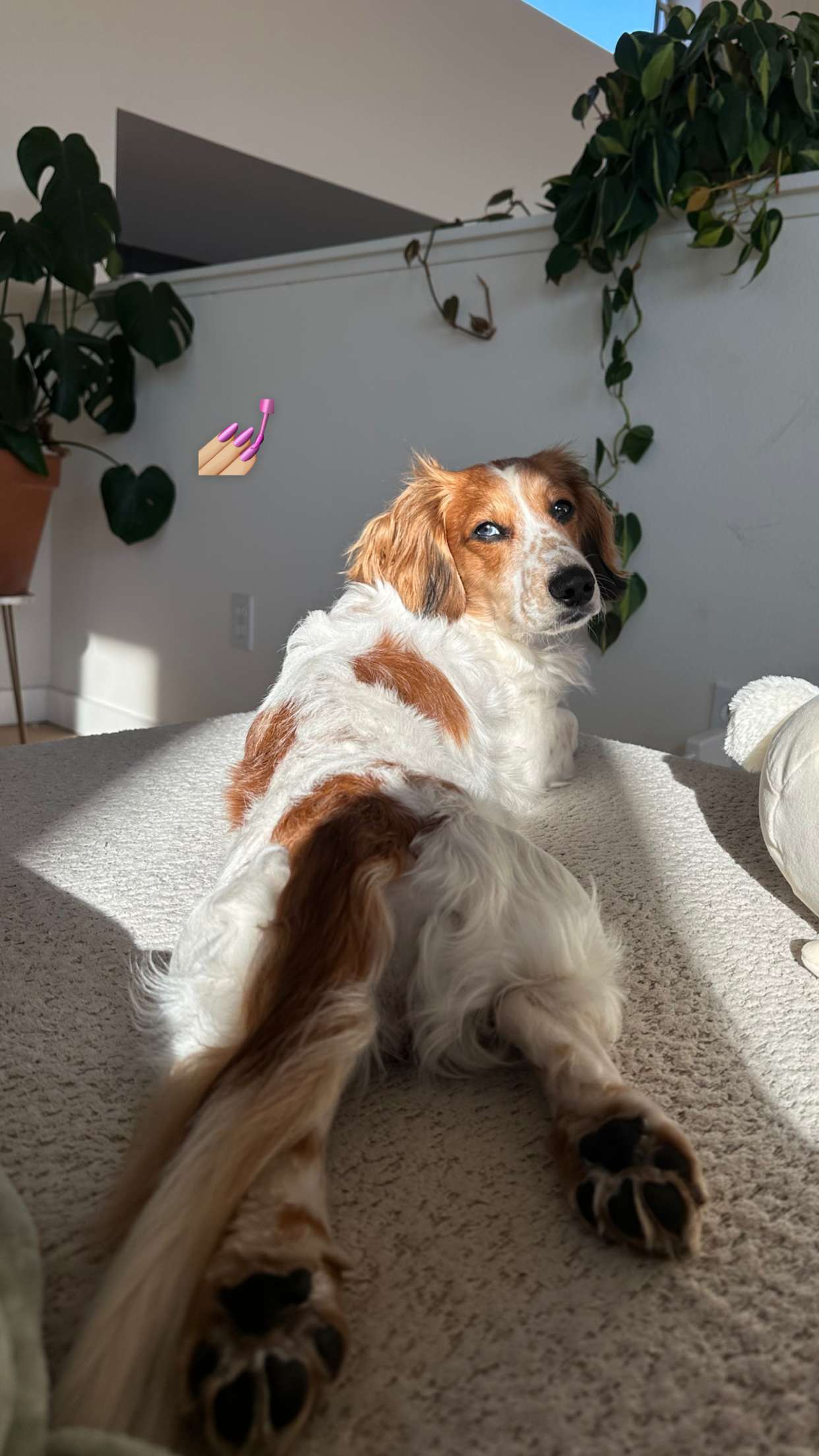 laurenj.fit snapchat image archive image