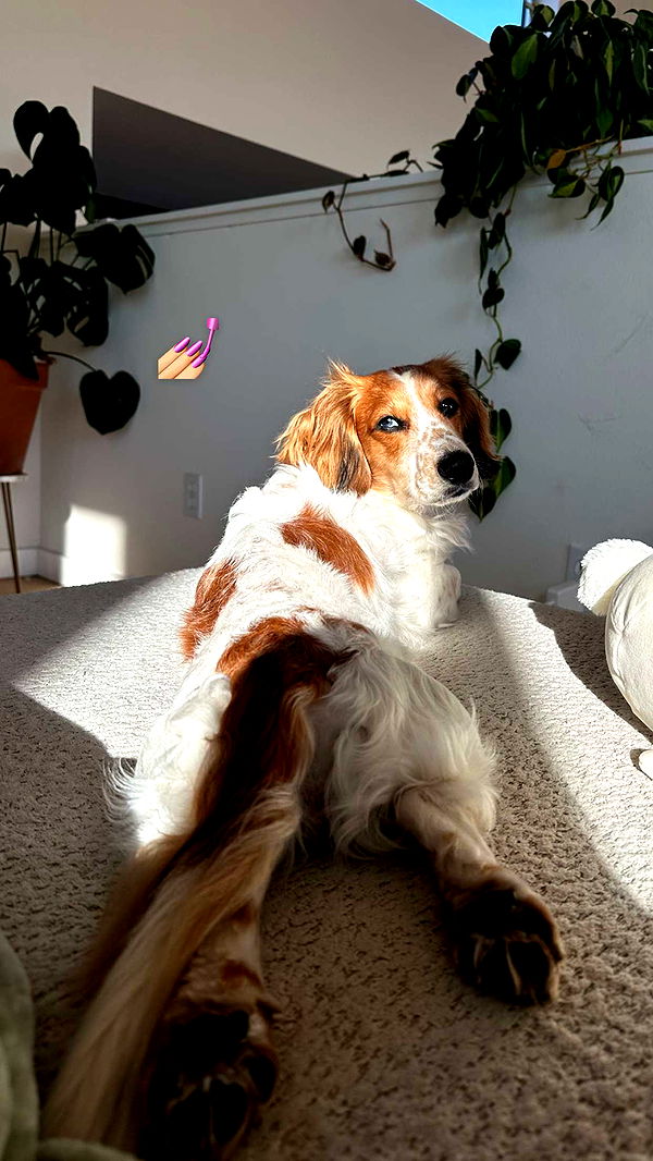 laurenj.fit image ~ Altpins