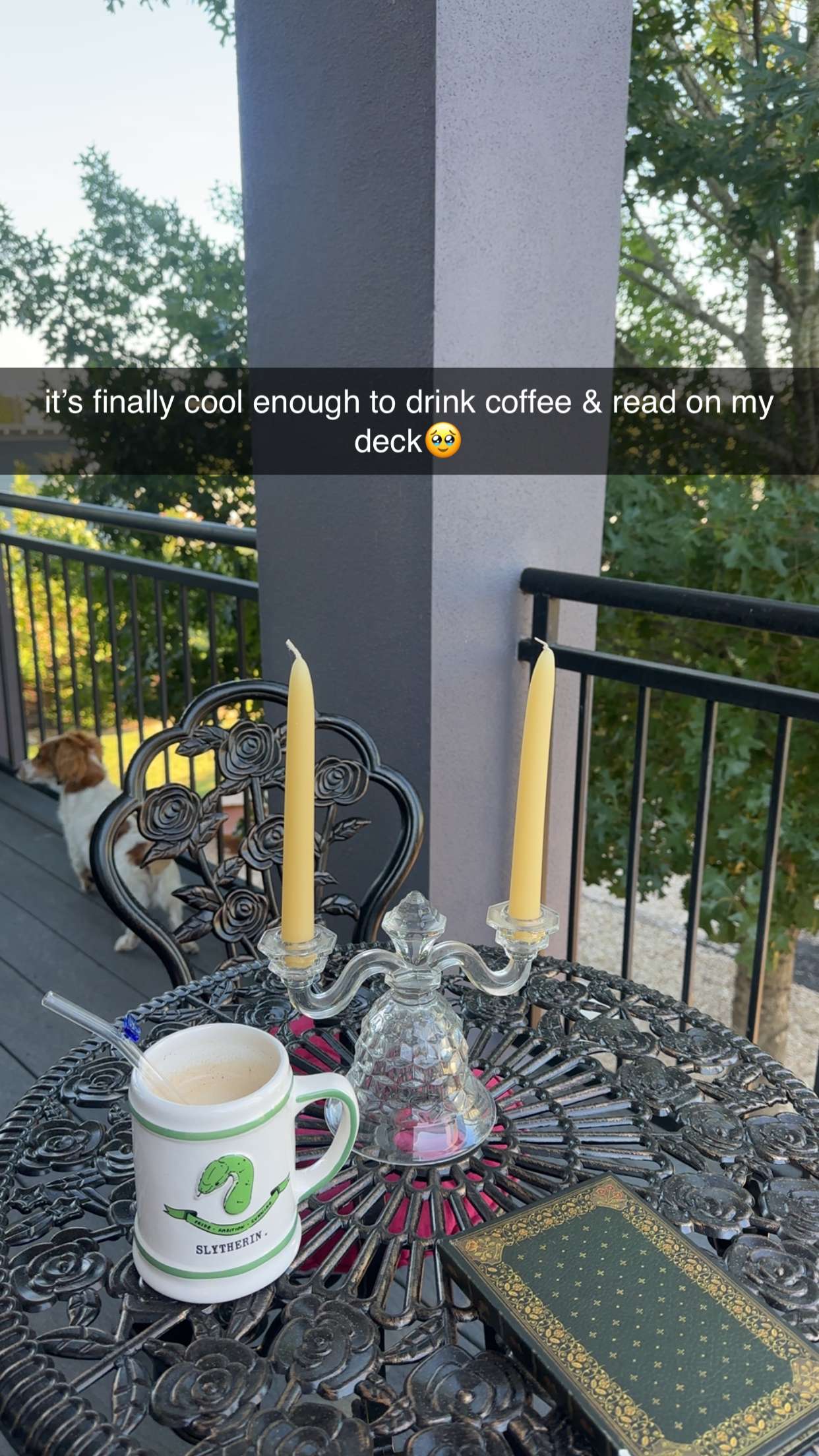 laurenj.fit snapchat image archive image