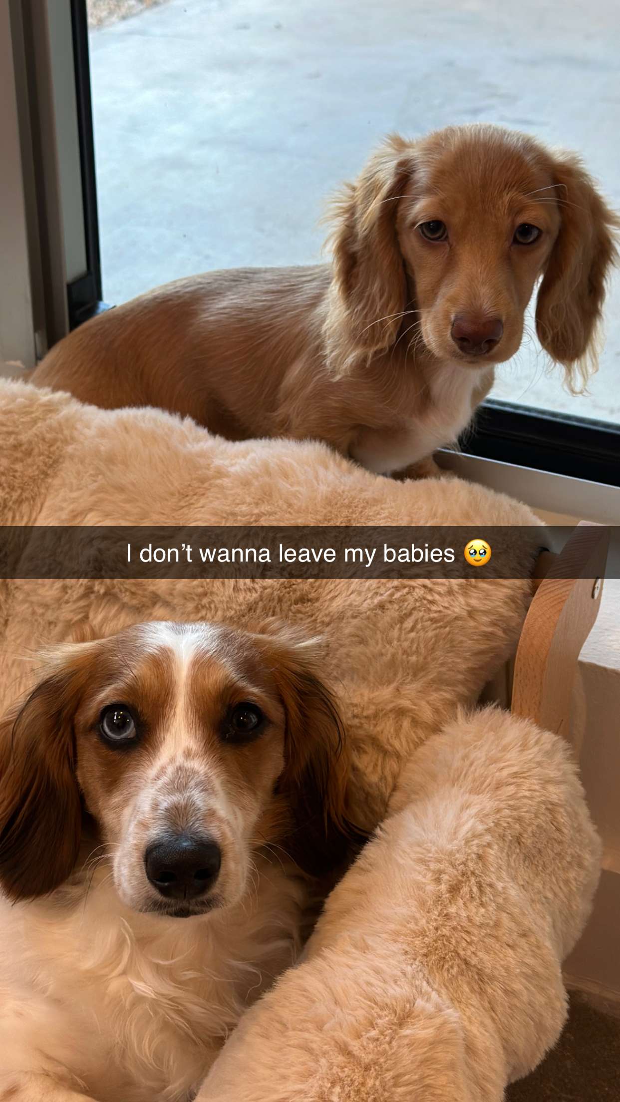 laurenj.fit snapchat image archive image