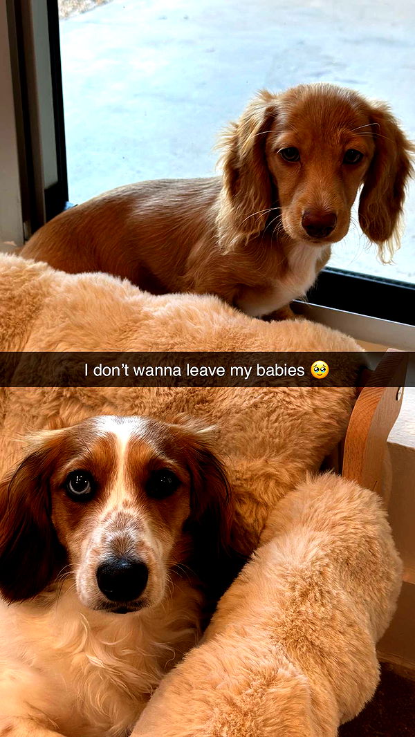 laurenj.fit image ~ Altpins