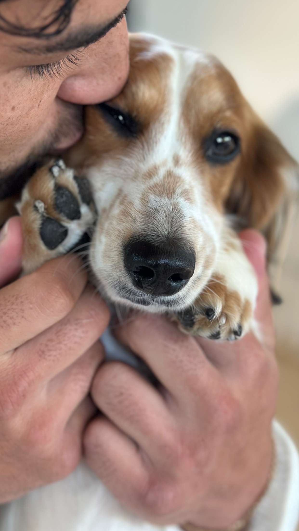 laurenj.fit snapchat image archive image