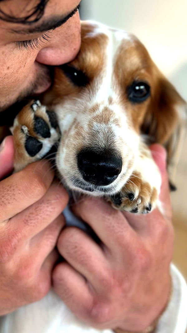 laurenj.fit image ~ Altpins