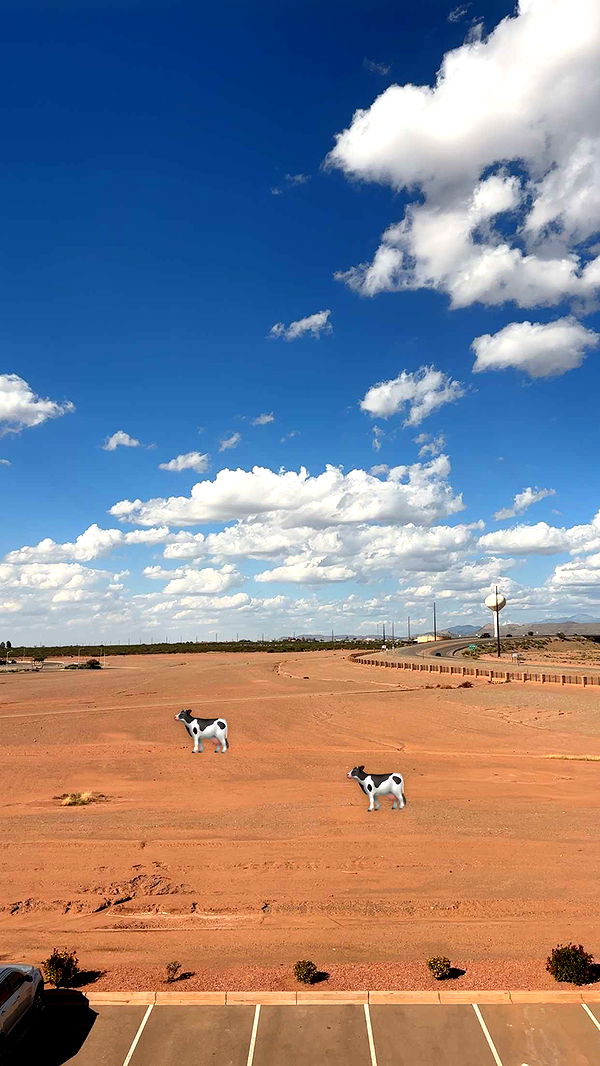 laurenj.fit image ~ Altpins