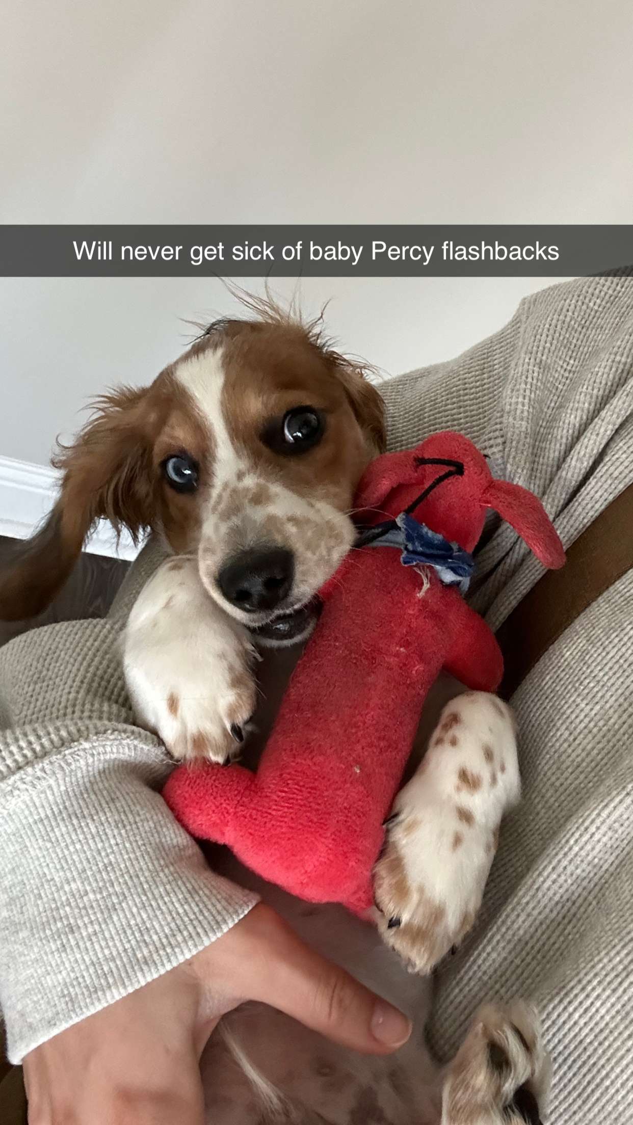 laurenj.fit snapchat image archive image