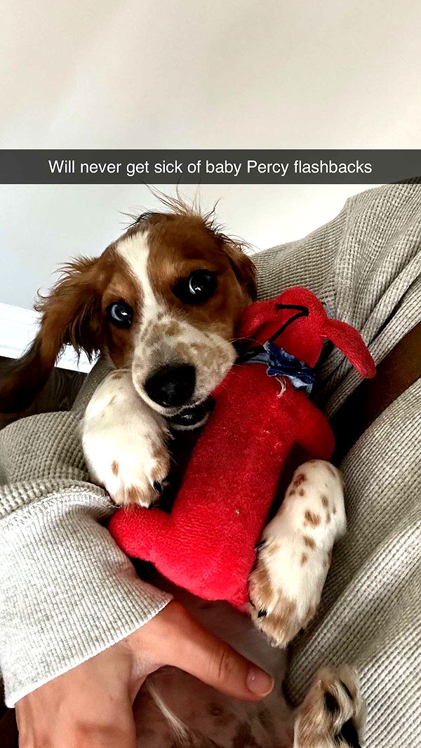 laurenj.fit image ~ Altpins