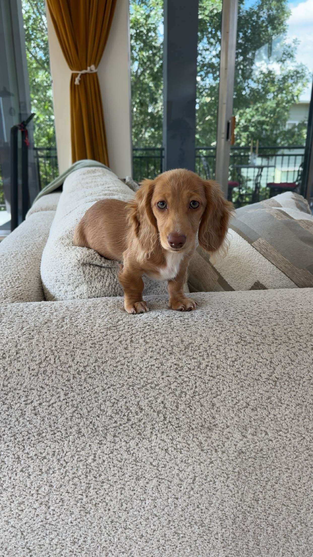 laurenj.fit snapchat image archive image