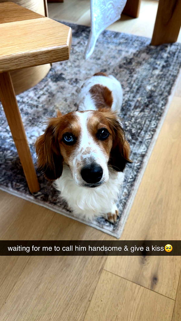 laurenj.fit image ~ Altpins