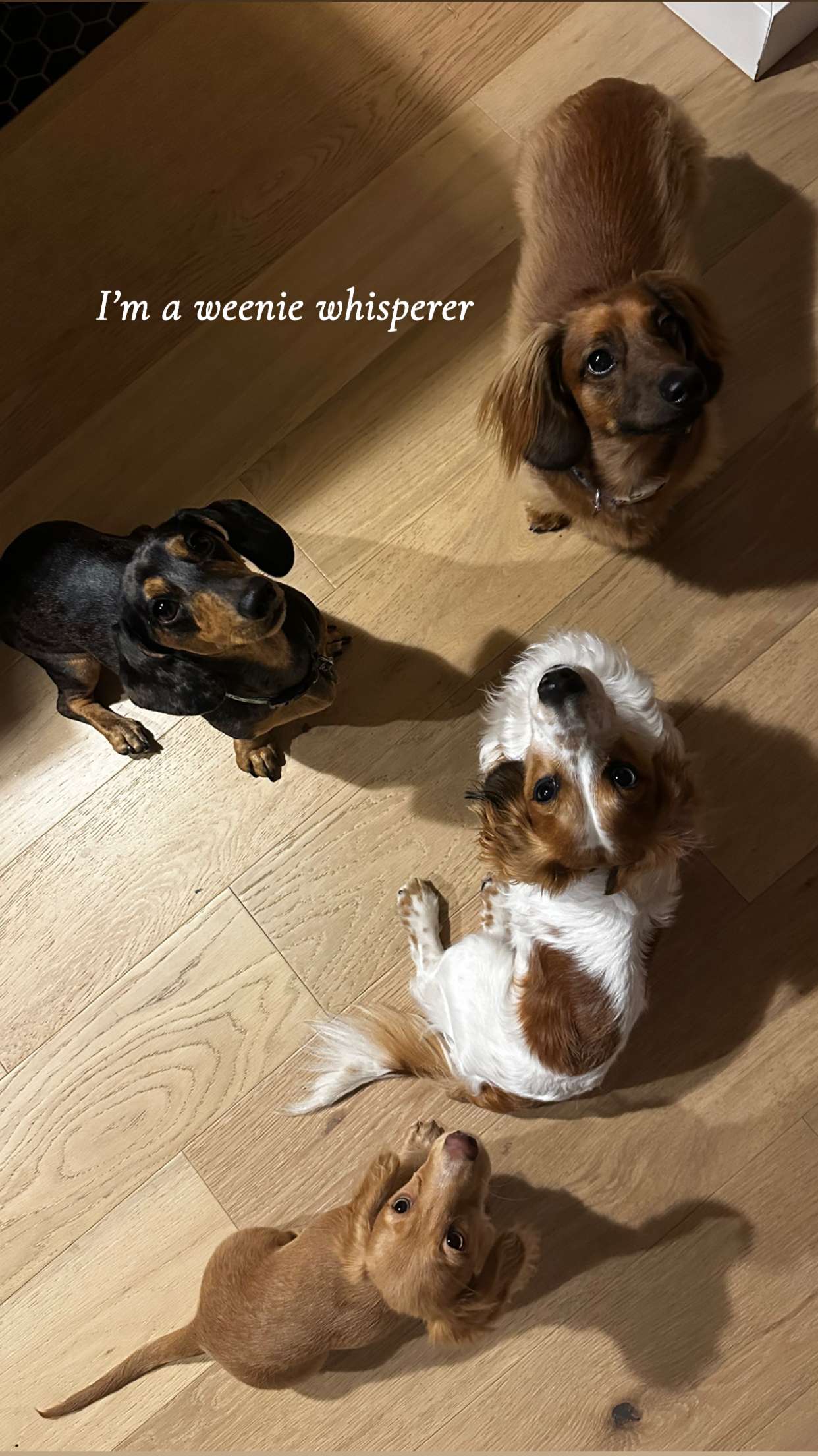 laurenj.fit snapchat image archive image